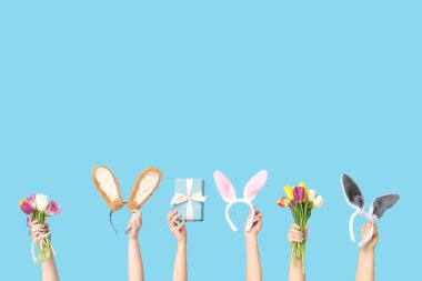 Paskalya tavşanı kulaklıklarını tutan kadın elleri hediye kutusu ve mavi arka planda laleler.