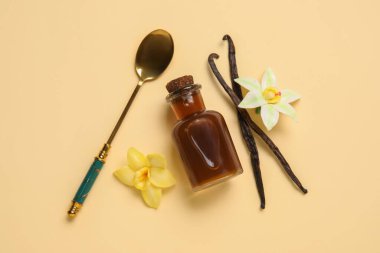 Açık bej arka planda vanilya özü, vanilya kabuğu ve çiçeklerle dolu bir şişe. Üst görünüm