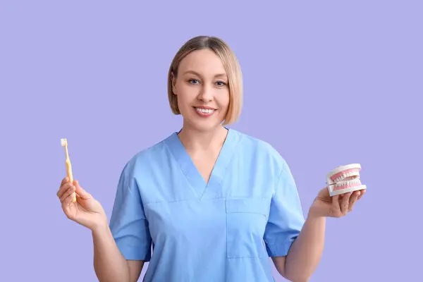 Dokter Gigi Wanita Dengan Sikat Gigi Dan Rahang Plastik Latar — Stok Foto
