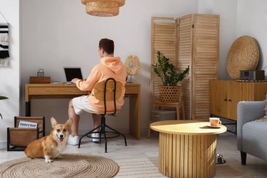 Laptoplu kızıl saçlı genç adam ve evde çalışan sevimli Corgi köpeği.