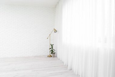 Oturma odasındaki ışık perdesinin yanındaki lamba ve bitki.