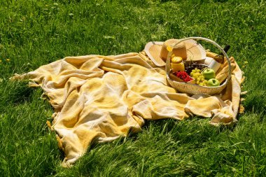 Parkta battaniyede romantik piknik için lezzetli yiyecek ve içeceklerle dolu bir sepet.