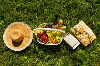 Battaniye, şapka ve hasır sepet dolusu lezzetli yiyecek. Parktaki çimlerde romantik piknik için içecekler.