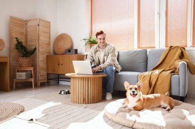 Evde dizüstü bilgisayarı ve şirin Corgi köpeği olan mutlu kızıl saçlı genç bir adam var.