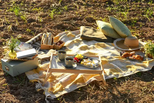 Picnic with tasty food, tea and books in field at sunset