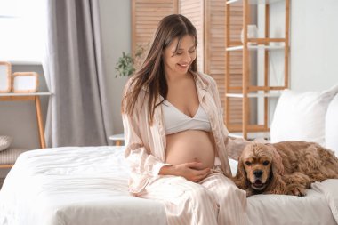 Cocker Spaniel köpeği olan hamile bir kadın yatak odasında oturuyor.