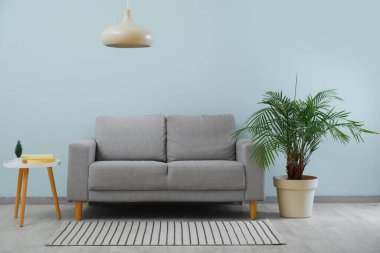 Gri kanepe ve yeşil duvarın yanındaki büyük bitki örtüsü.