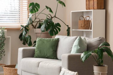 Gri kanepesi ve çiçekleri olan güzel bir oturma odası.