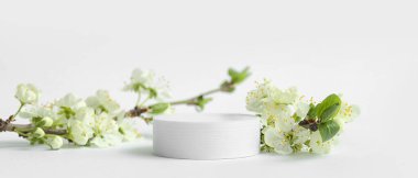 Dekoratif podyumlar ve çiçek açan ağaç dalları beyaz arkaplanda