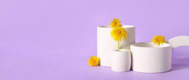 Eflatun arkaplanda karahindiba çiçekleriyle dekoratif podyumlar ve metin için yer