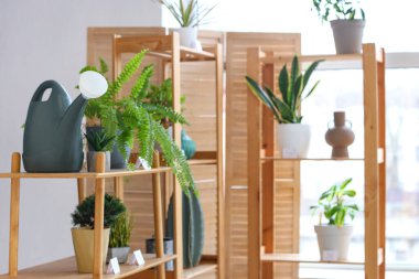 Çiçekçide bitki ve su bidonu olan raf ünitesi.