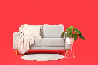 Kırmızı arka planda gri kanepe, battaniye ve saksı olan modern oturma odası.