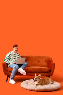 Kırmızı saçlı, laptoplu, mutlu ve turuncu arka planda Corgi köpeği olan genç bir adam.