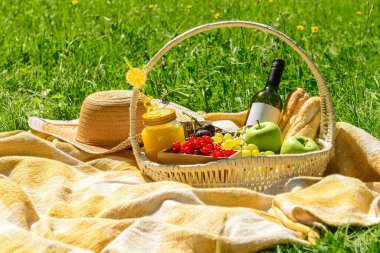 Parkta battaniyede romantik piknik için lezzetli yiyecek ve içeceklerle dolu bir sepet.
