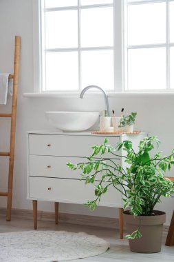 Diş fırçalı kozmetik ürünleri ve banyo lavabosunun yanında bitkiler.