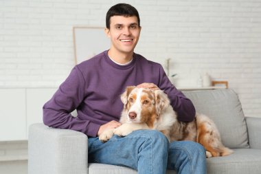 Avustralya çoban köpeği olan genç adam evdeki kanepede oturuyor.