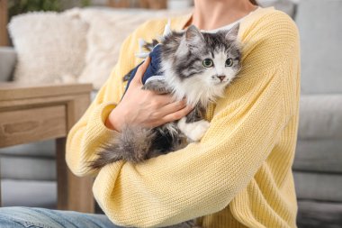 Evde kısırlaştırmadan sonra şirin kedileri olan bir ev sahibi.