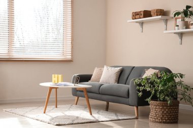 Oturma odasında siyah kanepe, raflar, saksı ve masa var.