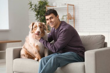 Avustralya çoban köpeği olan genç adam evdeki kanepede oturuyor.