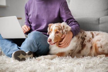 Avustralya çoban köpeği ve dizüstü bilgisayarı olan genç adam evde, yakın plan.