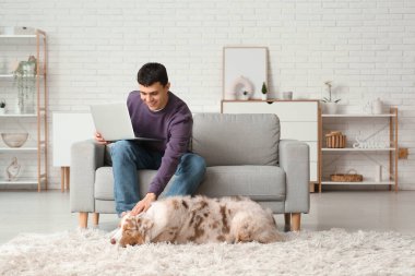 Avustralya çoban köpeği ve dizüstü bilgisayarı olan genç bir adam.