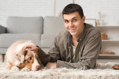 Avustralya çoban köpeği olan genç adam evde halının üzerinde yatıyor.