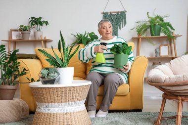 Evdeki kanepede oturan bitki ve sprey suyu şişeli bahçıvan.