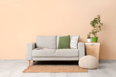 Rahat kanepesi ve çiçekleri olan şık bir oturma odası.