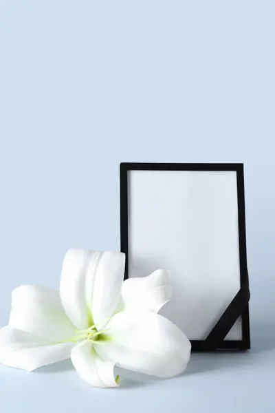 Blank funeral frame and beautiful lily flower on grey background