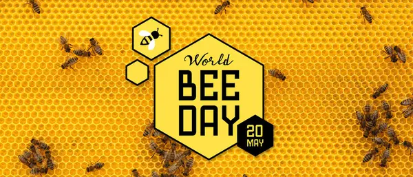 Banner for World Bee Day with honeycombs