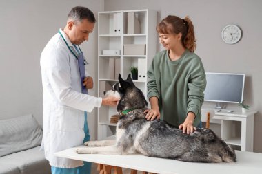 Sahibi, şirin köpeğini klinikteki veteriner randevusuna getirmiş.