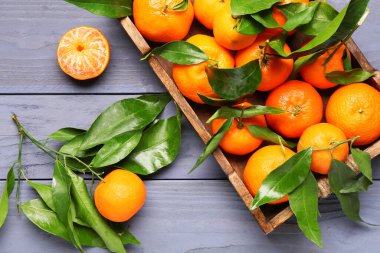 Tray with sweet mandarins and leaves on blue wooden background