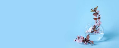 Açık mavi arkaplan üzerinde çiçek açan güzel dalları ve metin için yeri olan vazo. Merhaba bahar.