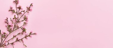 Pembe arka planda çiçek açan güzel dallar ve metin için yer. Merhaba bahar.