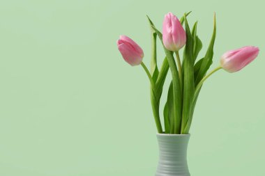 Yeşil arka planda güzel pembe laleleri olan vazo. Uluslararası Kadınlar Günü