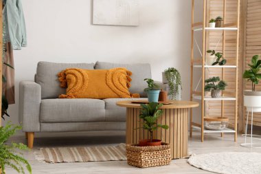 Raflarla, ev bitkileriyle, masa ve kanepeyle dolu rahat bir oturma odası.