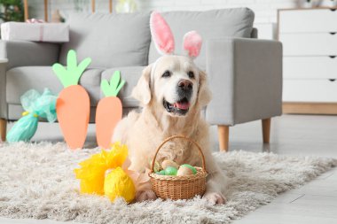 Paskalya yumurtaları halının üzerinde duran tavşan kulaklı şirin Labrador köpeği.