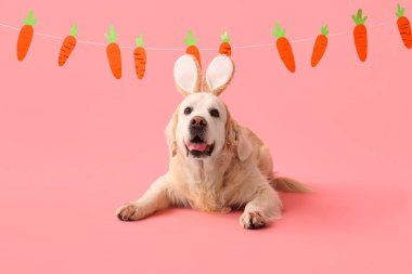 Tavşan kulaklı şirin Labrador köpeği ve pembe arka planda kağıt havuç. Paskalya kutlaması