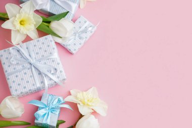 Güzel laleli hediye kutuları ve pembe arka planda nergis çiçekleri.