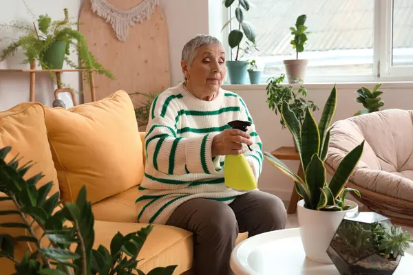 Stock image Senior gardener watering plant at home