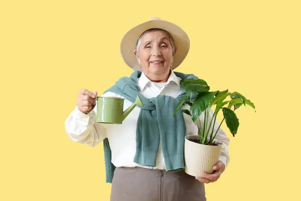Jardineiro Sênior Com Planta Regador Fundo Amarelo — Fotografia de Stock