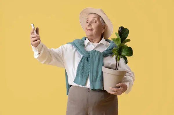 Jardineiro Sênior Com Planta Telefone Celular Tirando Selfie Fundo Amarelo — Fotografia de Stock