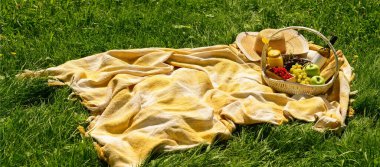 Parkta battaniyede romantik piknik için içinde lezzetli yiyecekler ve içecekler olan sepet.