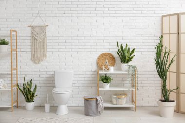 İçinde seramik klozet ve bitkiler olan hafif bir banyo.