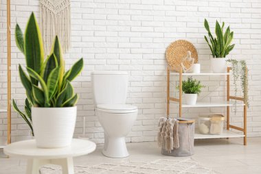 İçinde seramik klozet ve bitkiler olan hafif bir banyo.