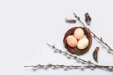 Painted Easter eggs in nest with pussy willow branches on white background