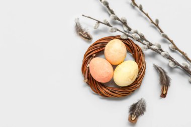 Painted Easter eggs in nest with pussy willow branches on white background