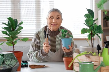 Evde bitki ve aletlerle kıdemli bahçıvan.