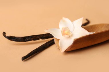 Vanilya çiçekli ahşap kepçe ve renk arka planına yapışmış, yakın plan.