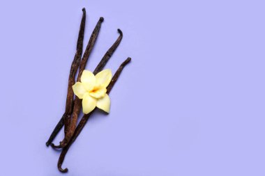 Leylak arkaplanda çiçekli Aromatik vanilya çubukları